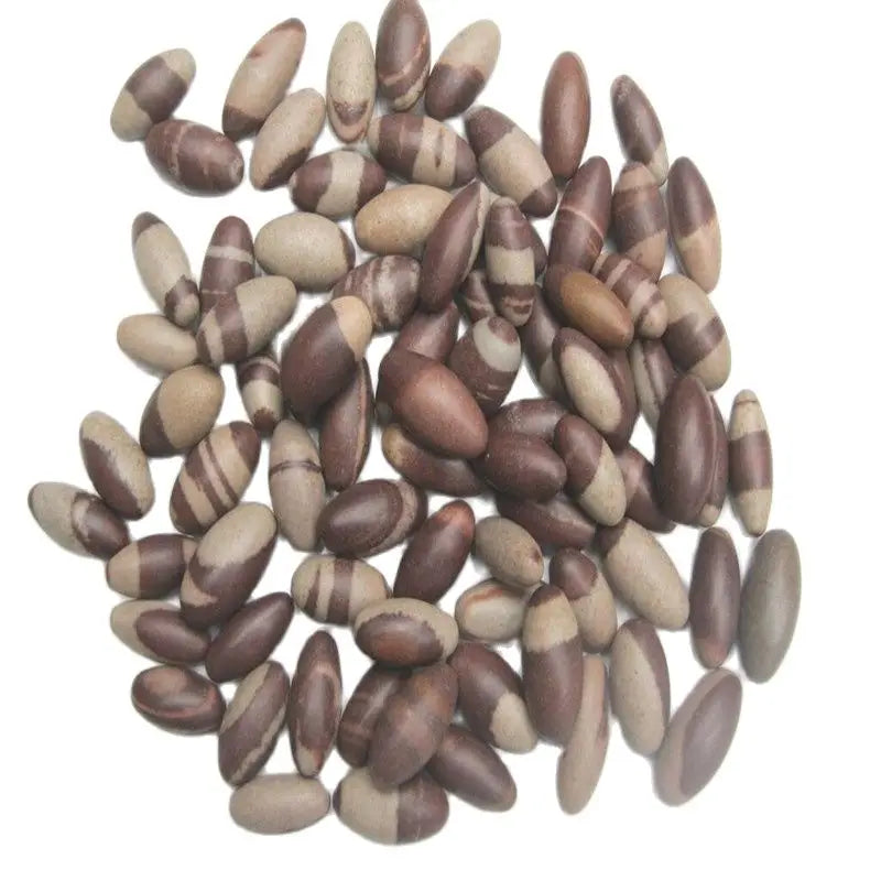 Pierres de Shiva Lingam