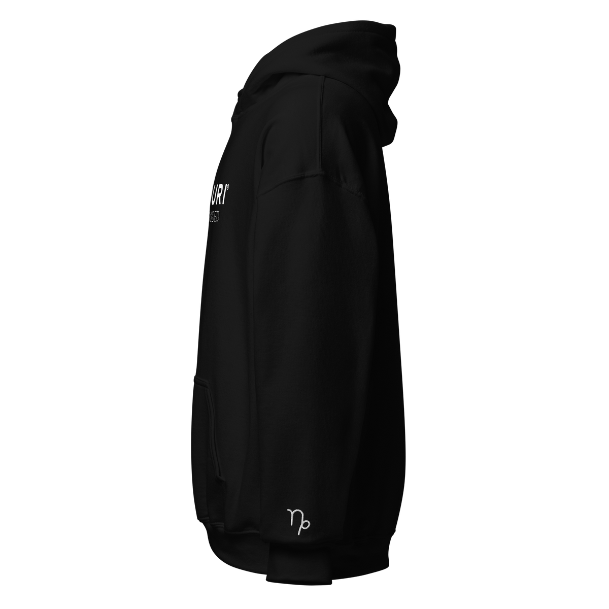 VICEDOMINI Hoodie