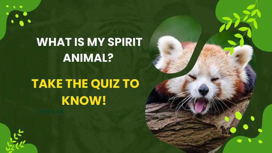 Spirit Animal Quiz: What Is My Spirit Animal?