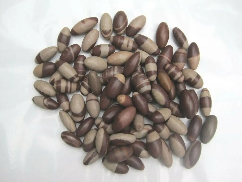 Pedras Shiva Lingam