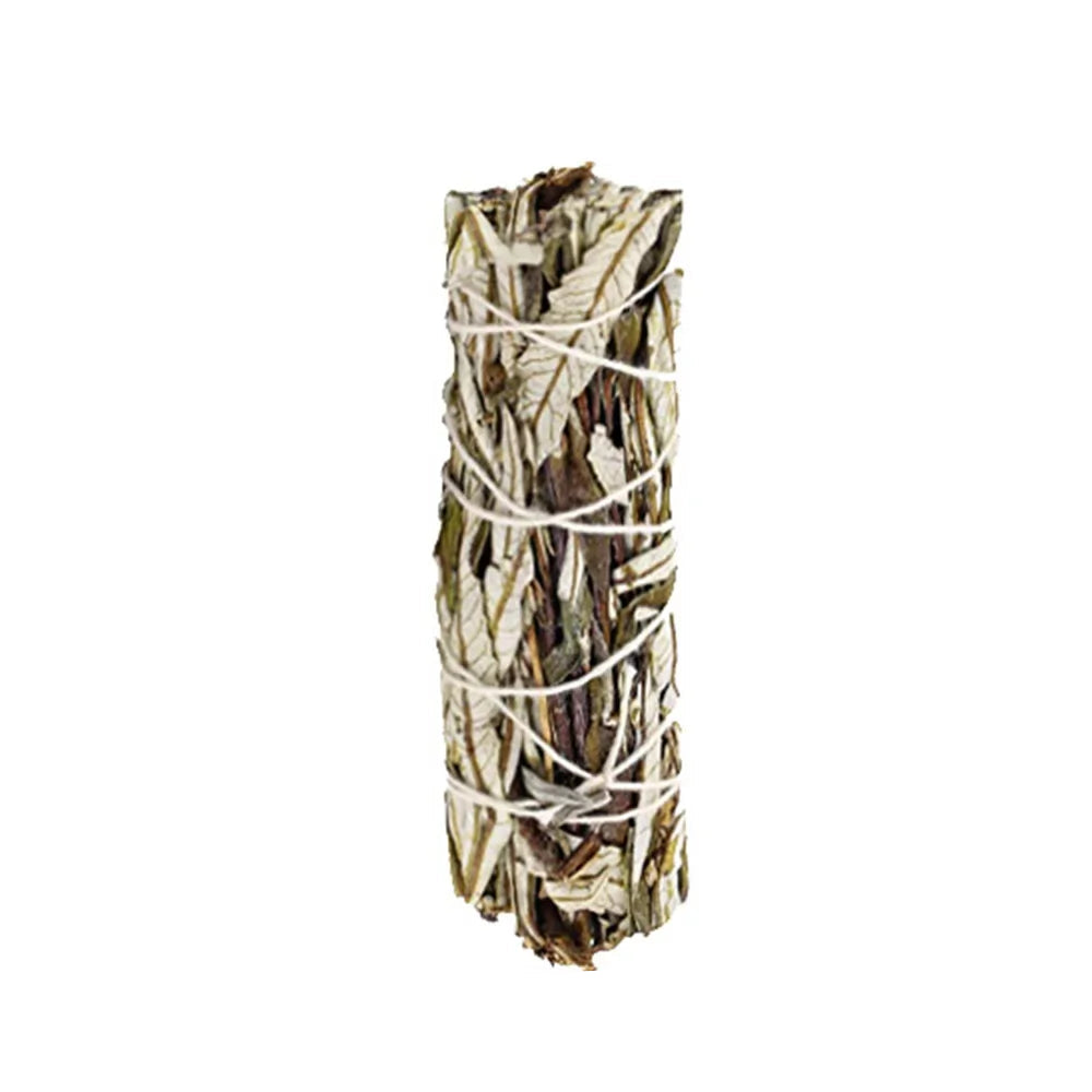 Yerba Santa Salbei-Paket